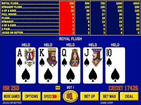 taya 356 casino login